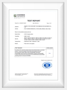 RoHS Test Report